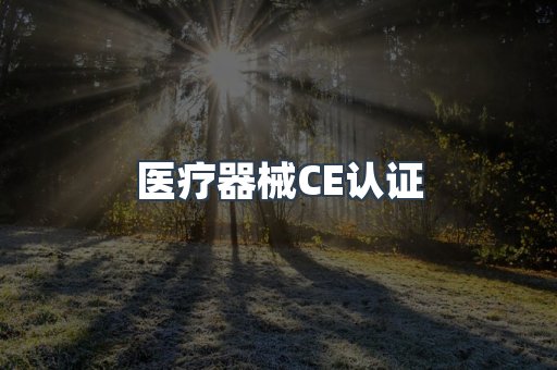 口罩防护类系列CE认证