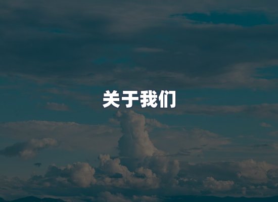 专业团队